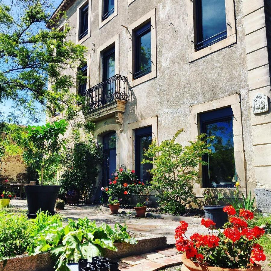 La Villa Du Chai Lézignan-Corbières Eksteriør bilde